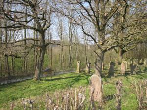 Friedhof Hohehaus